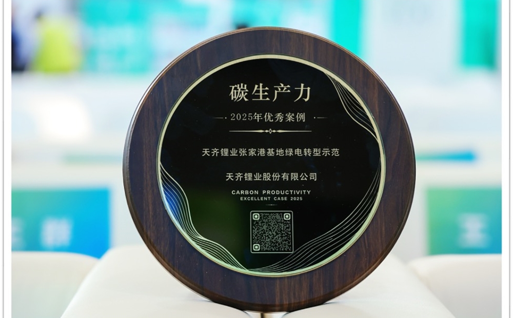 ϲ�� | �����������޹�˾�ҵ�ٻ�̼������-2025���참��������